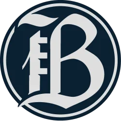 Logo Bay FC